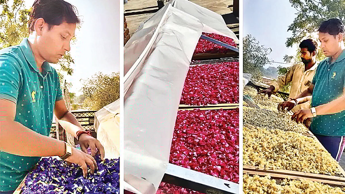 வாடிய மலர்களில் மூலிகை தேநீர்